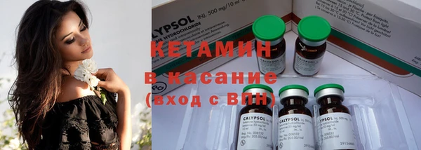 крисы Баксан