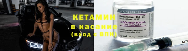 крисы Баксан