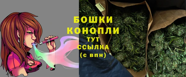 крисы Баксан