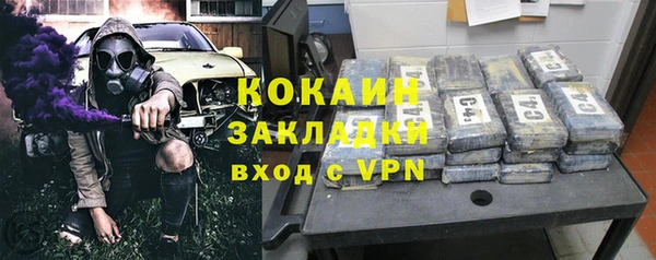сатива Богородицк