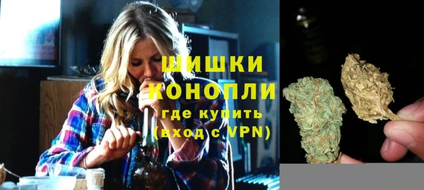 крисы Баксан